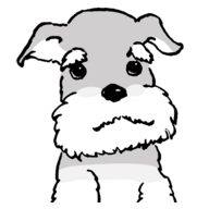 美しいミニチュア シュナウザーの写真集 髭犬のサイト