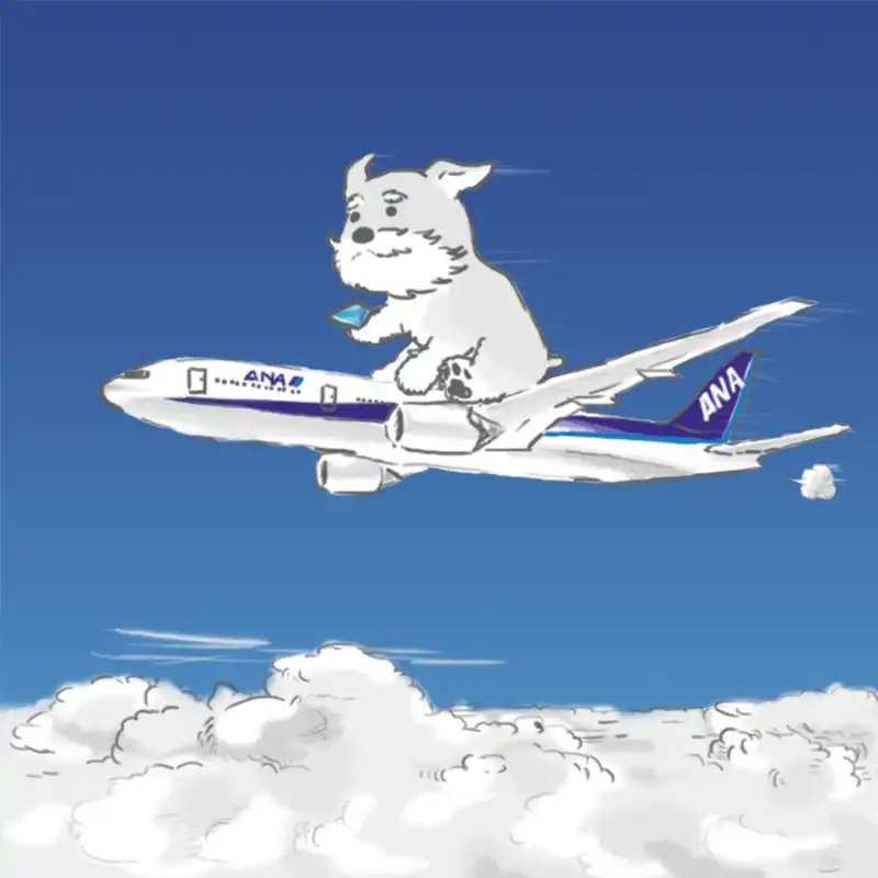 飛行機に乗る髭犬