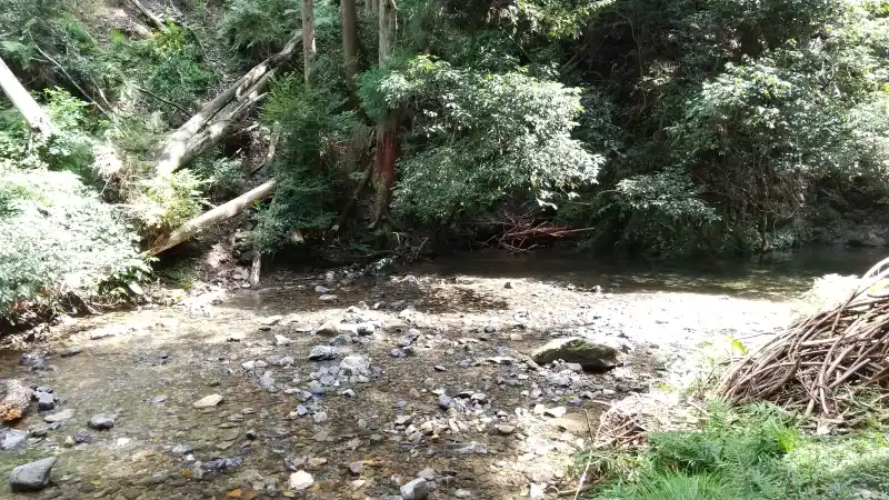 松尾谷の川の浅瀬