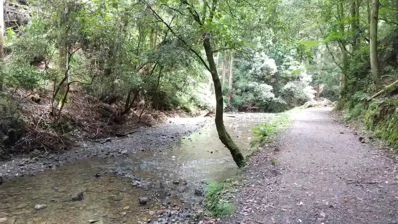 松尾谷の川の浅瀬