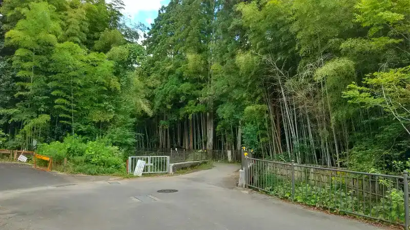 松尾谷への橋