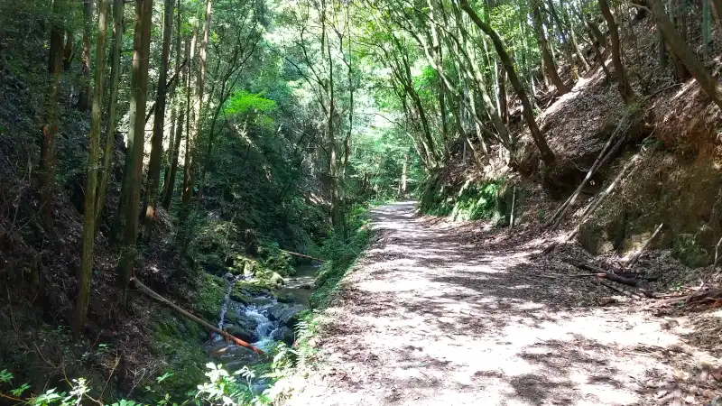 松尾谷の道