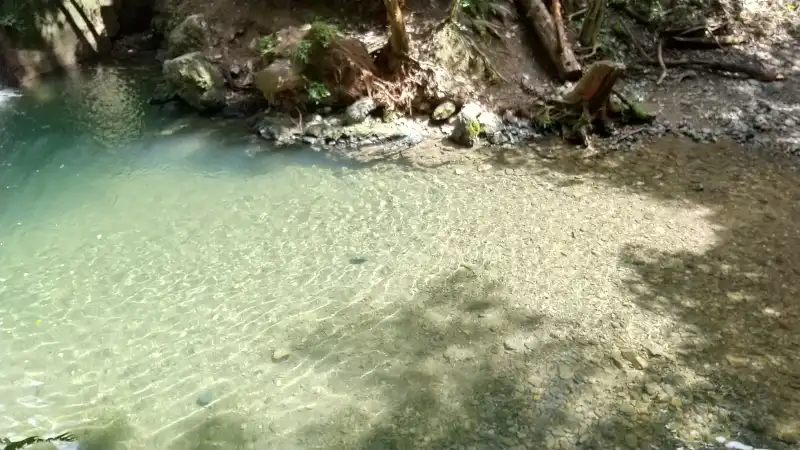 松尾谷の川の透明度