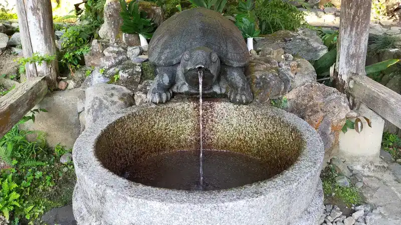 松尾大社の亀の井