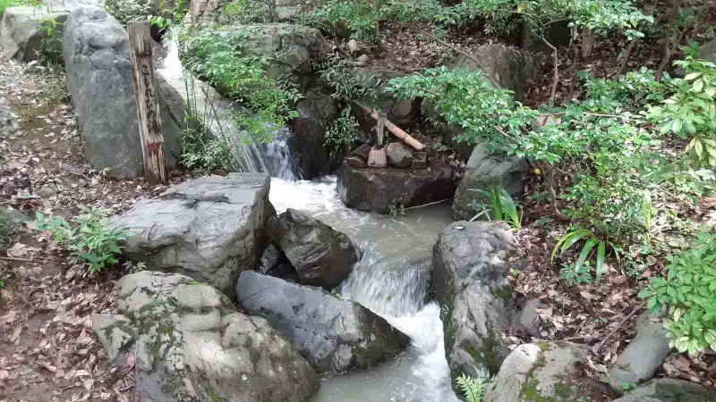 桂坂野鳥遊園のこもれびの滝