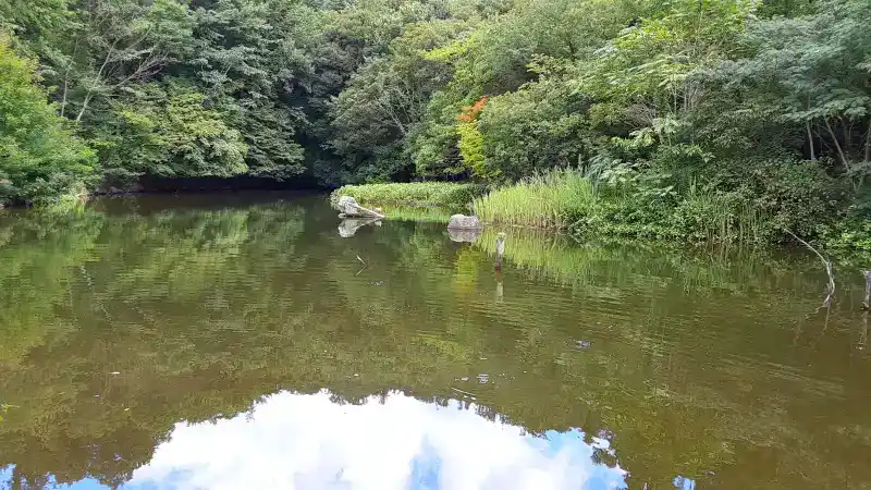 桂坂野鳥遊園の池